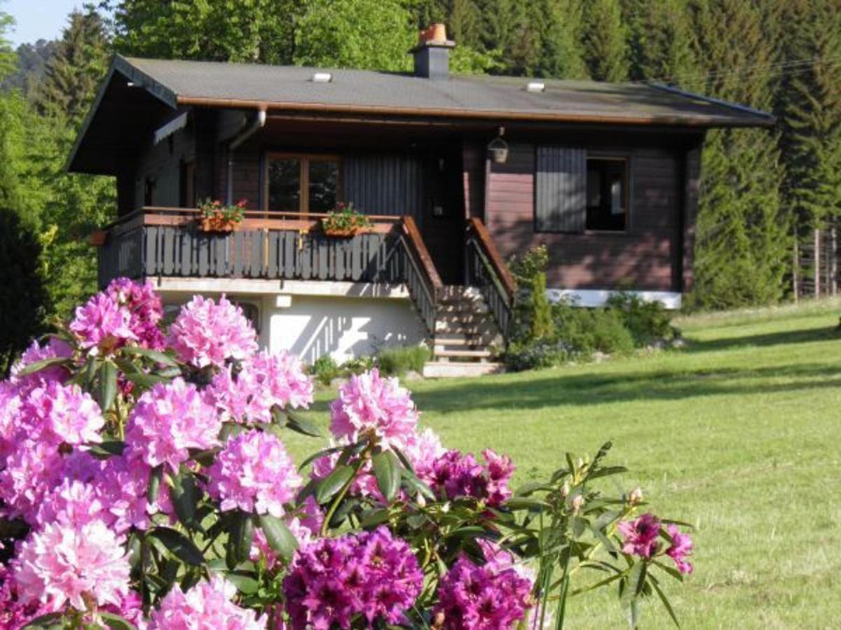 Chalet Renove Proche Du Valtin - Ideal Pour Famille, Randonnees Et Ski, Wifi, Luges Fournies - Fr-1-589-150 Ban-sur-Meurthe-Clefcy Kültér fotó