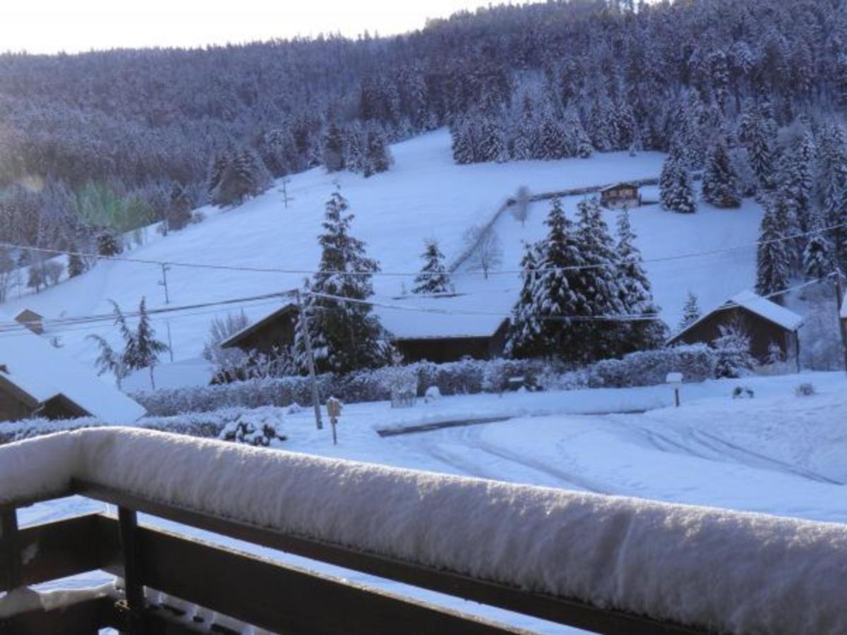 Chalet Renove Proche Du Valtin - Ideal Pour Famille, Randonnees Et Ski, Wifi, Luges Fournies - Fr-1-589-150 Ban-sur-Meurthe-Clefcy Kültér fotó